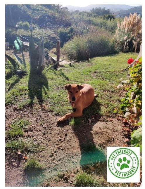 Casa Ecológica Rama&cabaña Rústica Сasa de vacaciones Tandil